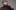 John Shuttleworth's Back John Shuttleworth's Back