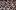 PartnerPage-CYOP-660x400px