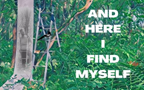 And Here I Find Myself by Wayne Steven Jackson