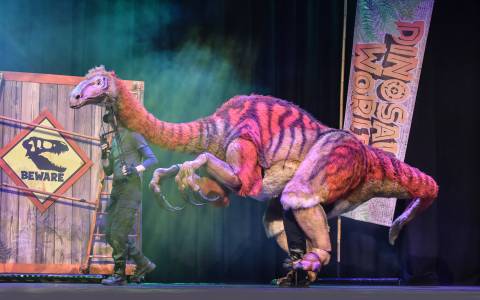 Dinosaur World Live